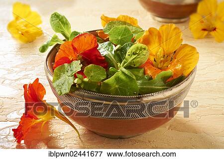 Stock Photo - Fresh nasturtium flowers and leaves in a salad. Fotosearch