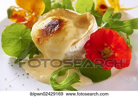 Fresh nasturtium flowers and leaves with goats cheese View Large Photo Image Stock Photo - Fresh nasturtium flowers and leaves with goats cheese. Fotosearch