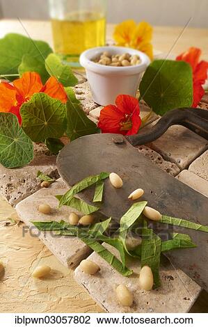 Stock Image - "Fresh Nasturtium (Tropaeolum), flowers, leaves and pine kernels". Fotosearch