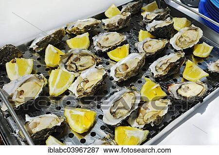 "Fresh oysters with lemon, Walvis Bay, Erongo Region, Namibia, Africa" View Large Photo Image Stock Photo - "Fresh oysters with lemon, Walvis Bay, Erongo Region, Namibia, Africa". Fotosearch