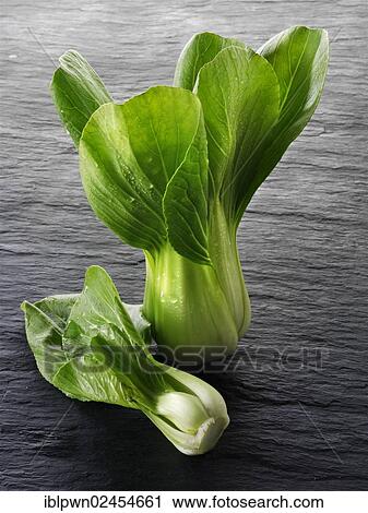 Fresh Pak Choi leaves View Large Photo Image Stock Image - Fresh Pak Choi leaves. Fotosearch