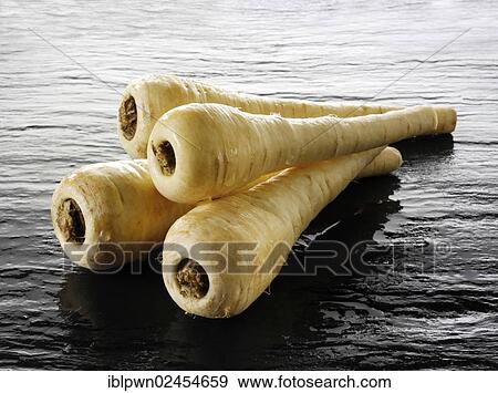 Fresh parsnips View Large Photo Image Stock Photo - Fresh parsnips. Fotosearch