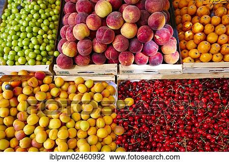 "Fresh peaches, apricots and cherries on a fruit market stall, Syros, Greece, Europe" View Large Photo Image Stock Image - "Fresh peaches, apricots and cherries on a fruit market stall, Syros, Greece, Europe". Fotosearch