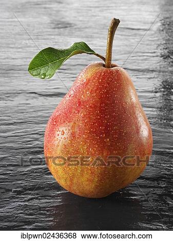 Fresh Pear View Large Photo Image Stock Photo - Fresh Pear. Fotosearch