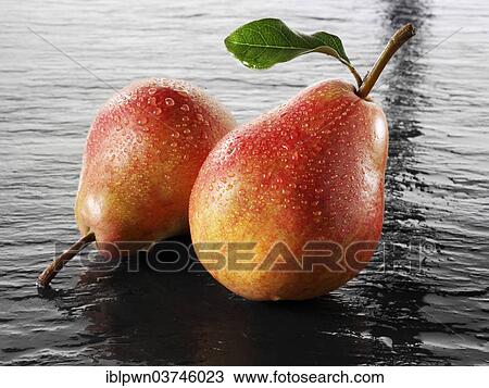 Fresh pears View Large Photo Image Stock Image - Fresh pears. Fotosearch