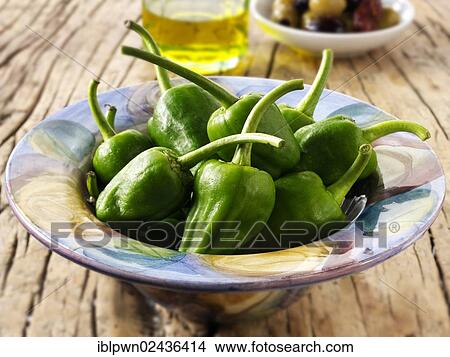 "Fresh peppers, pimientos de Padron" View Large Photo Image Picture - "Fresh peppers, pimientos de Padron". Fotosearch