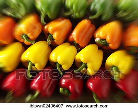 Stock Photo - "Fresh peppers, red, green, yellow and orange". Fotosearch