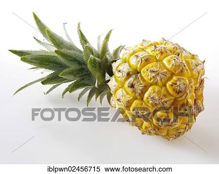 Stock Photography - Fresh pineapple. Fotosearch
