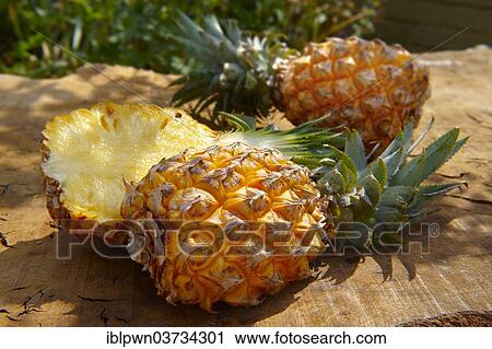 Fresh pineapples View Large Photo Image Stock Image - Fresh pineapples. Fotosearch