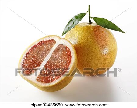 "Fresh pink grapefruit with leaves, whole and half" View Large Photo Image Stock Image - "Fresh pink grapefruit with leaves, whole and half". Fotosearch