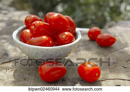 Picture - Fresh plum tomatoes. Fotosearch