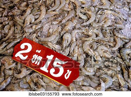 "Fresh prawns on sale at the fish market, Thai food, Bangkok, Central Thailand, Thailand, Asia" View Large Photo Image Stock Image - "Fresh prawns on sale at the fish market, Thai food, Bangkok, Central Thailand, Thailand, Asia". Fotosearch