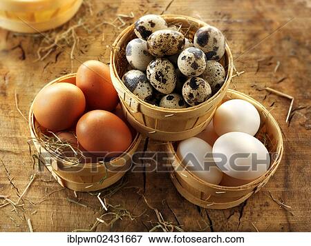 Stock Photo - "Fresh quail eggs, chicken eggs and duck eggs". Fotosearch