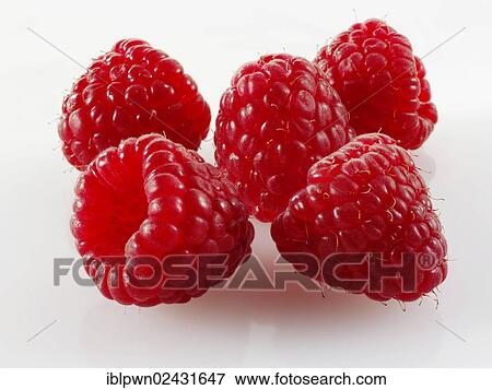 Fresh raspberries View Large Photo Image Stock Photo - Fresh raspberries. Fotosearch