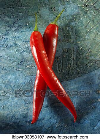 Fresh red chilis View Large Photo Image Stock Photo - Fresh red chilis. Fotosearch