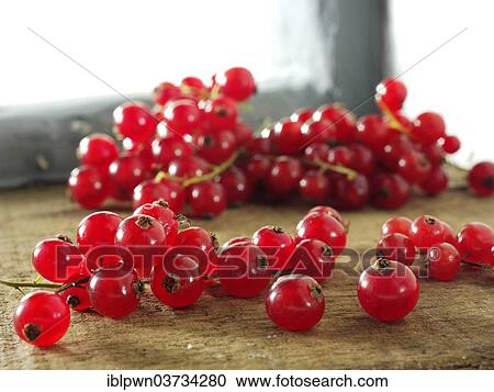 Fresh redcurrants View Large Photo Image Stock Image - Fresh redcurrants. Fotosearch