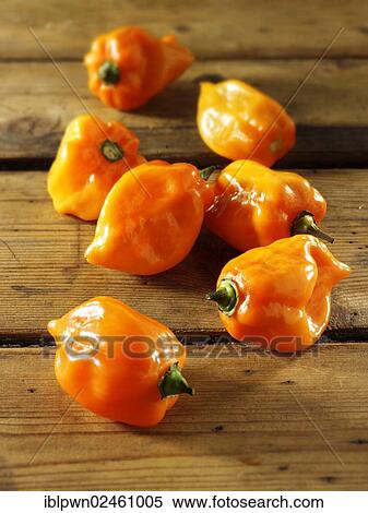 Fresh Scotch Bonnet chilies View Large Photo Image Stock Photography - Fresh Scotch Bonnet chilies. Fotosearch