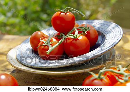 Fresh tomatoes View Large Photo Image Picture - Fresh tomatoes. Fotosearch