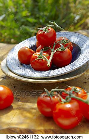 Stock Image - Fresh tomatoes. Fotosearch