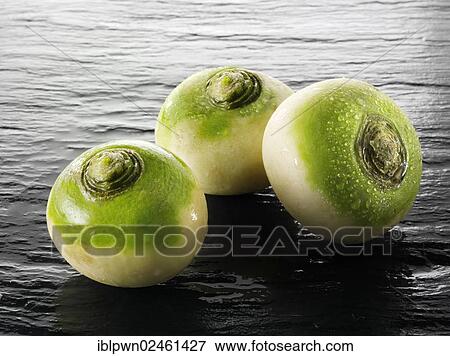 Fresh turnips View Large Photo Image Stock Photo - Fresh turnips. Fotosearch