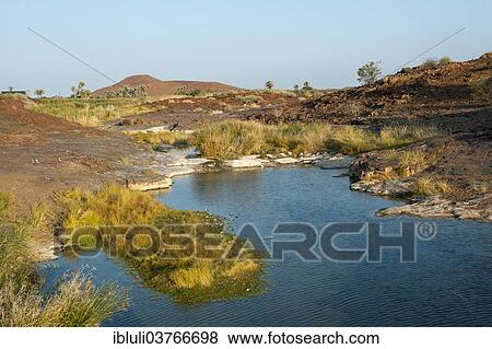 "Fresh water spring in a canyon at Palmwag, Kunene Region, Namibia, Africa" View Large Photo Image Stock Photo - "Fresh water spring in a canyon at Palmwag, Kunene Region, Namibia, Africa". Fotosearch