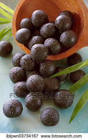 Fresh whole Acai berries (Euterpe oleracea) View Large Photo Image Stock Photo - Fresh whole Acai berries (Euterpe oleracea). Fotosearch