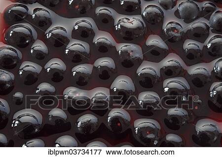 Fresh whole Acai berries (Euterpe oleracea) View Large Photo Image Stock Photo - Fresh whole Acai berries (Euterpe oleracea). Fotosearch
