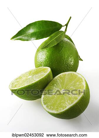 Fresh whole and cut lime fruit with leaves View Large Photo Image Stock Image - Fresh whole and cut lime fruit with leaves. Fotosearch