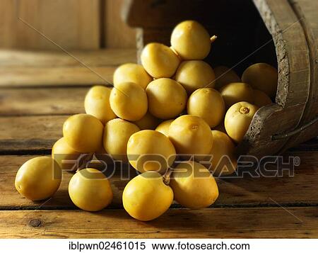 Stock Photography - Fresh whole dates. Fotosearch
