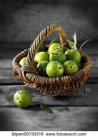 Stock Photograph - "Fresh whole greengages or Reine Claudes, plums". Fotosearch
