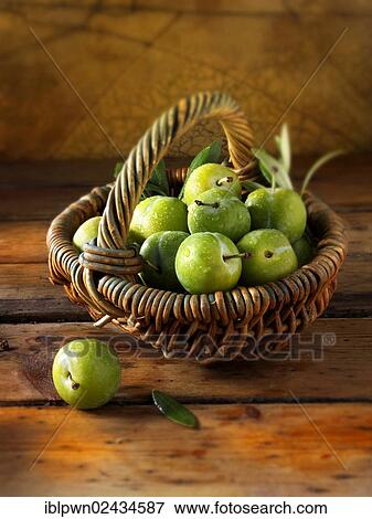 Stock Photo - Fresh whole greengages. Fotosearch