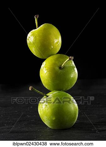 Stock Photo - Fresh whole precious plums. Fotosearch
