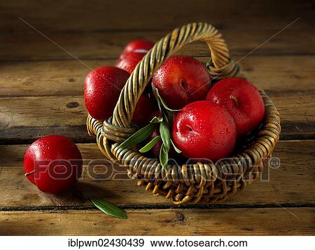 Stock Photo - Fresh whole red plums. Fotosearch