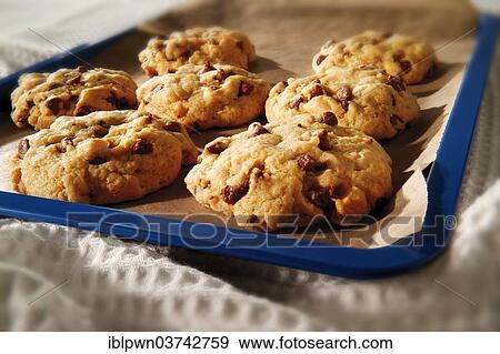 Stock Photo - Freshly baked chocolate chip cookies. Fotosearch