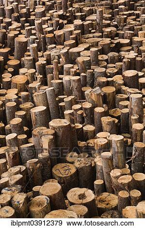 Stock Photo - "Freshly cut and stacked timber logs at a lumber mill, Quebec, Canada, North America". Fotosearch