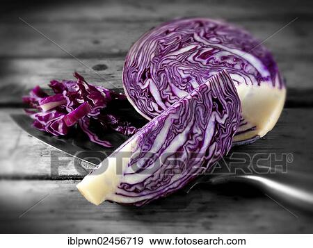 Stock Photo - Freshly cut red cabbage. Fotosearch