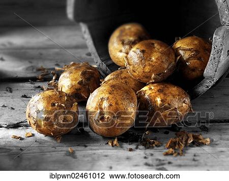 Stock Image - Freshly dug organic new potatoes. Fotosearch
