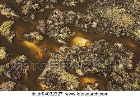 Stock Photo - "Freshwater marshes with sandy streams, channels and islands, aerial view, Okavango Delta, Moremi Game Reserve, Botswana, Africa". Fotosearch
