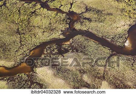 Stock Photo - "Freshwater marshes with sandy streams and channels, aerial view, Okavango Delta, Moremi Game Reserve, Botswana, Africa". Fotosearch