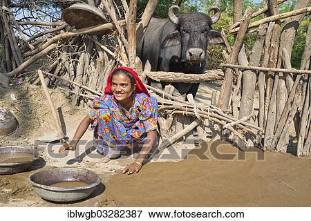 Stock Photo - "Friendly young woman in traditional dress plastering the floor of a courtyard with a mixture of water, sand and cow dung, Rann of Kutch, Gujarat, India, Asia". Fotosearch