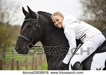 "Friesian or Frisian horse, stallion, English bridle, with female rider on horseback" View Large Photo Image Stock Photo - "Friesian or Frisian horse, stallion, English bridle, with female rider on horseback". Fotosearch