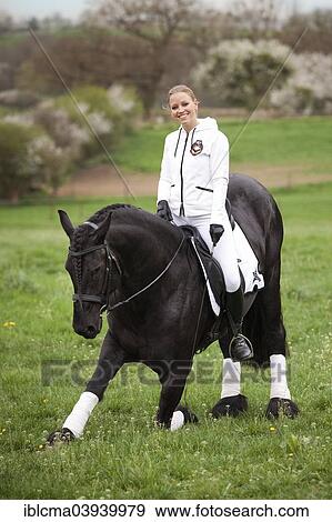 "Friesian or Frisian horse, stallion, with a female rider on horseback, on a meadow, classical dressage, """"compliment"""" on a loose rein" View Large Photo Image Stock Photo - "Friesian or Frisian horse, stallion, with a female rider on horseback, on a meadow, classical dressage, """"compliment"""" on a loose rein". Fotosearch