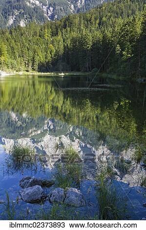 "Frillensee lake near Eibsee lake with reflections of Mt Zugspitze, Bavaria, Germany, Europe" View Large Photo Image Stock Image - "Frillensee lake near Eibsee lake with reflections of Mt Zugspitze, Bavaria, Germany, Europe". Fotosearch