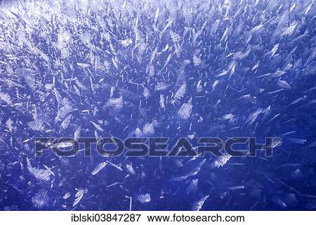 Frost and ice crystals View Large Photo Image Stock Photo - Frost and ice crystals. Fotosearch