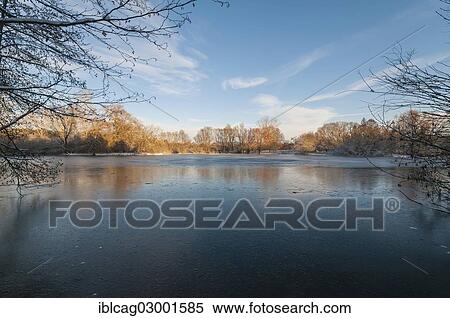 "Frozen Moenchbruch pond, Moenchbruch nature reserve, Monchbruch Nature Reserve, Morfelden, Hesse, Germany, Europe" View Large Photo Image Stock Photography - "Frozen Moenchbruch pond, Moenchbruch nature reserve, Monchbruch Nature Reserve, Morfelden, Hesse, Germany, Europe". Fotosearch