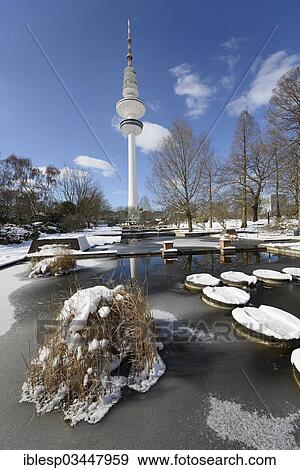 Stock Photo - "Frozen ponds in """"Planten un Blomen"""" park, Heinrich Hertz Tower at the rear, Hamburg, Hamburg, Germany, Europe". Fotosearch