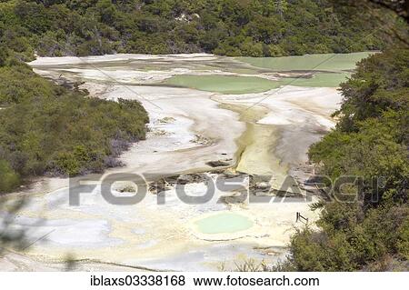 "Frying Pan Flat, hot springs with steaming holes, Waiotapu, Bay of Plenty Region, New Zealand, Oceania" View Large Photo Image Stock Photo - "Frying Pan Flat, hot springs with steaming holes, Waiotapu, Bay of Plenty Region, New Zealand, Oceania". Fotosearch
