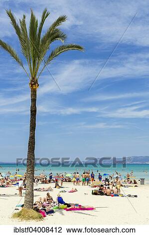 Full Beach Playa De Palma Bay Of Palma Majorca Balearic