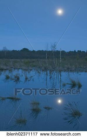 "Full moon over the bog, Wesuweermoor, Emsland, Lower Saxony, Germany, Europe" View Large Photo Image Stock Photo - "Full moon over the bog, Wesuweermoor, Emsland, Lower Saxony, Germany, Europe". Fotosearch