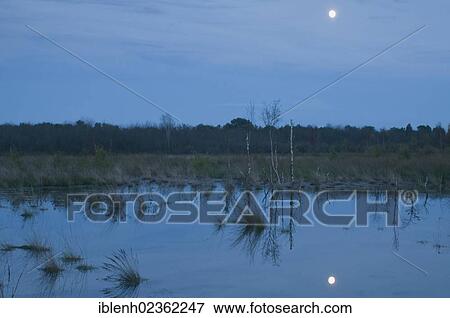 "Full moon over the marsh, Wesuweermoor, Emsland, Lower Saxony, Germany, Europe" View Large Photo Image Stock Photo - "Full moon over the marsh, Wesuweermoor, Emsland, Lower Saxony, Germany, Europe". Fotosearch